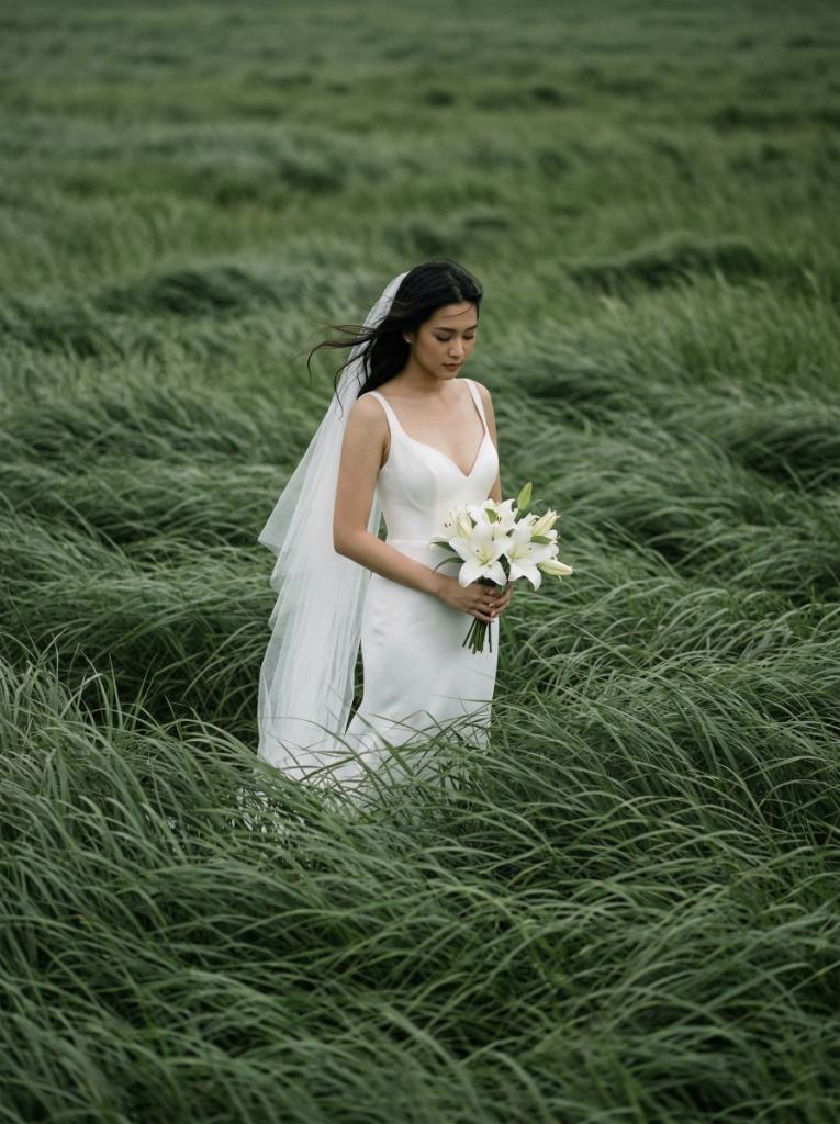 Meadow · Padang · Wind Prompt